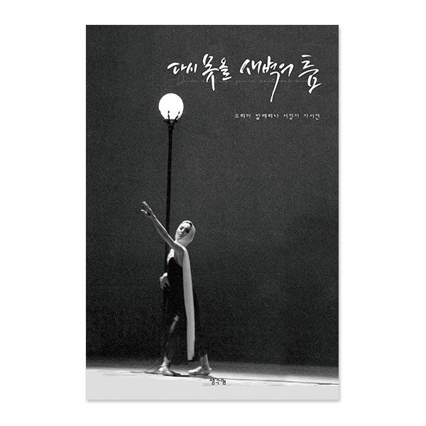 다시 못 올 새벽의 춤