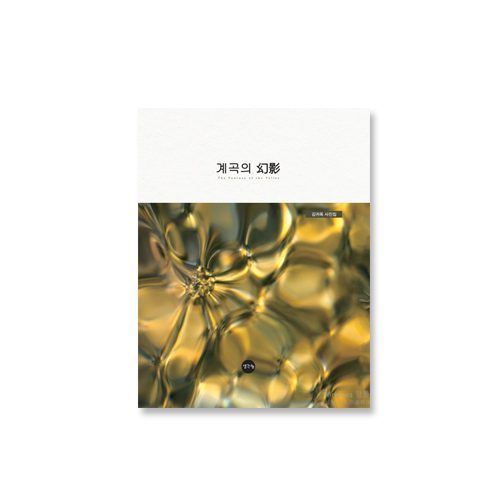 계곡의 幻影